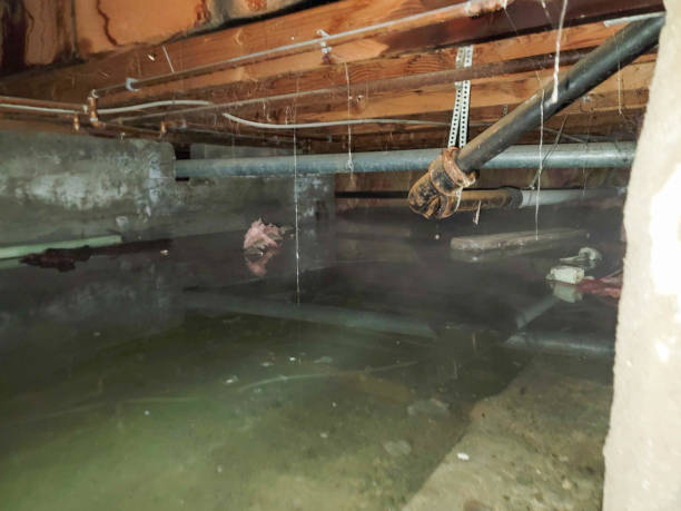  Muscatine, IA Water damage restoration Pros