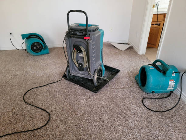 Best Flooded house restoration  in Muscatine, IA