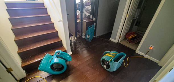Best Commercial water damage restoration  in Muscatine, IA