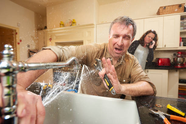 Best Fire Damage Restoration  in Muscatine, IA